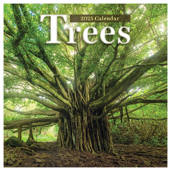 2025 Wall Calendar | Trees