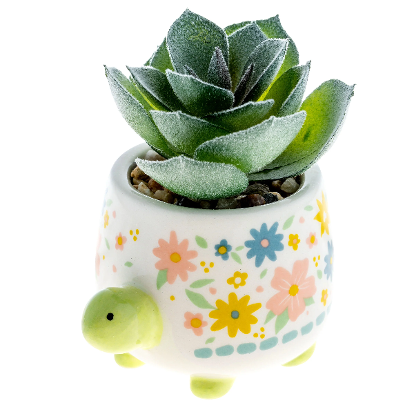 Karma Succulent Pot | Turtle