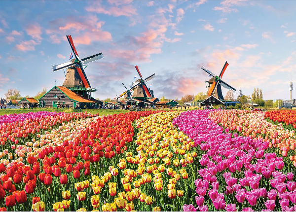 Peter Pauper 1000 Piece Puzzle | Windmills And Tulips