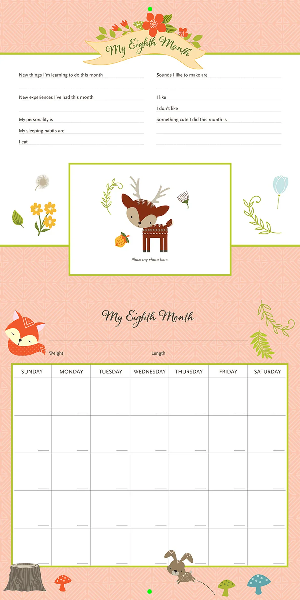 My Life As A Baby Wall Calendar | Woodland Friends