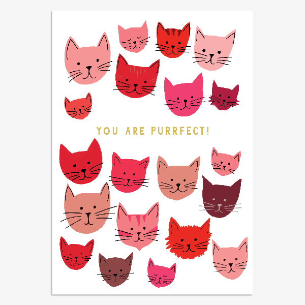 You Are Purrfect Card