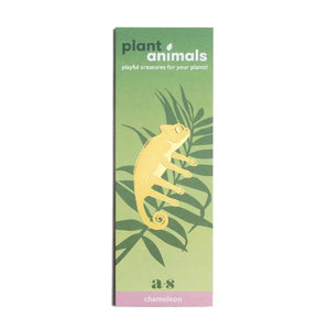 Chameleon Houseplant Decoration