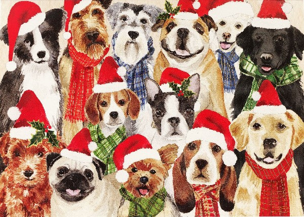 Deck The Dogs Boxed Holiday Cards | Set of 20