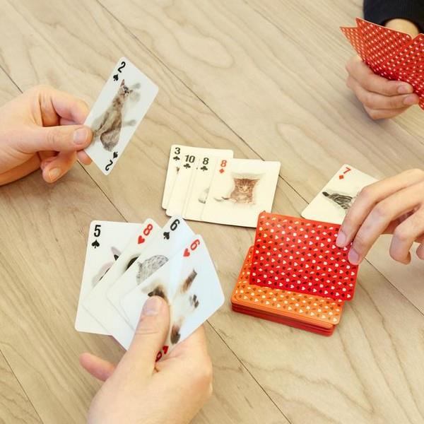 3-D Cat Playing Cards