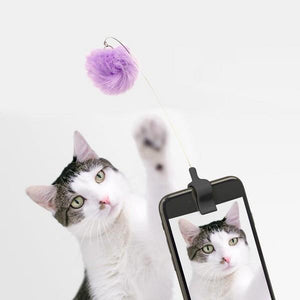 long clip attached to a smartphone with a purple puff at the end. a cat aims to catch the purple toy. kikkerland product on white background