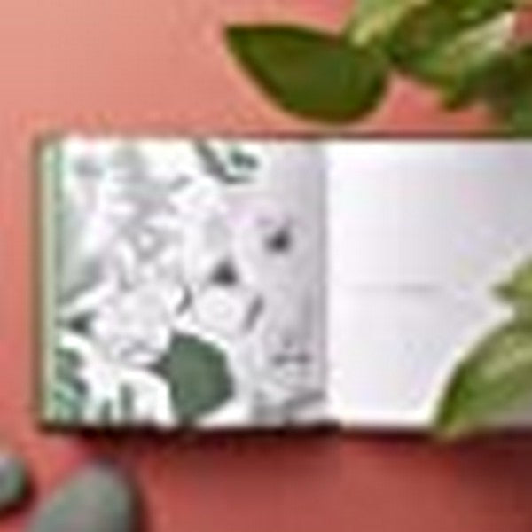 Turtle's Guide to Introversion